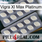 Vigra Xl Max Platinum 07